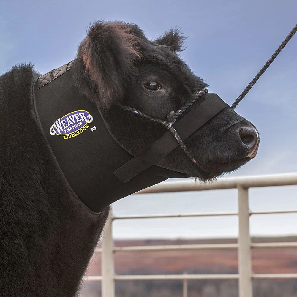 Weaver Leather Leather Medium Neoprene Neck Sweat - Image 2