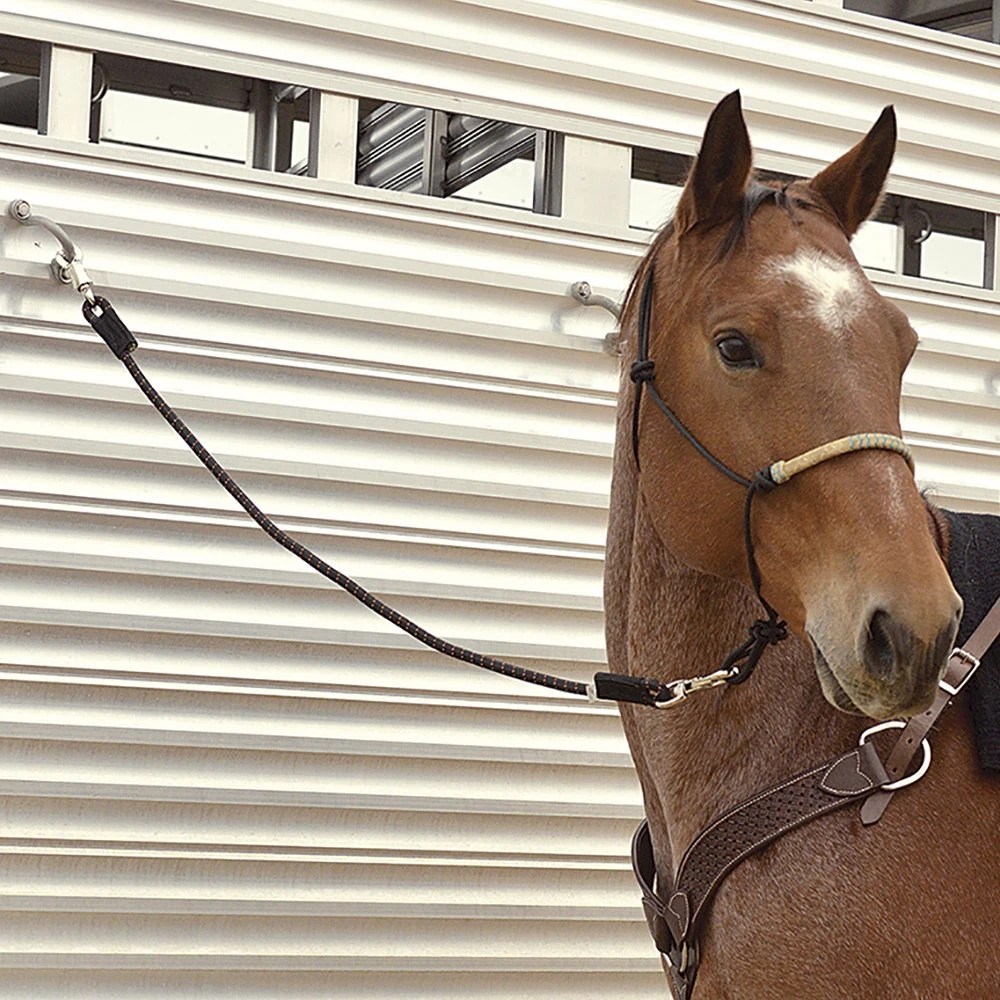 Cashel Company 60in. Triple Shock Cord Trailer Tie - Image 2