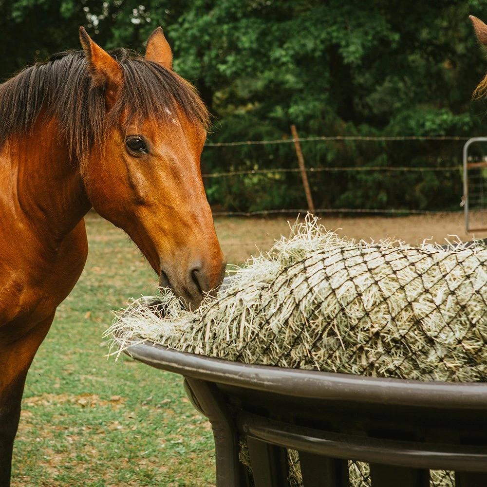 Texas Haynet Equine Hay Basket Kit - Image 2